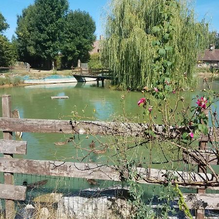 Ferme Bressane Les Arums Mervans Buitenkant foto